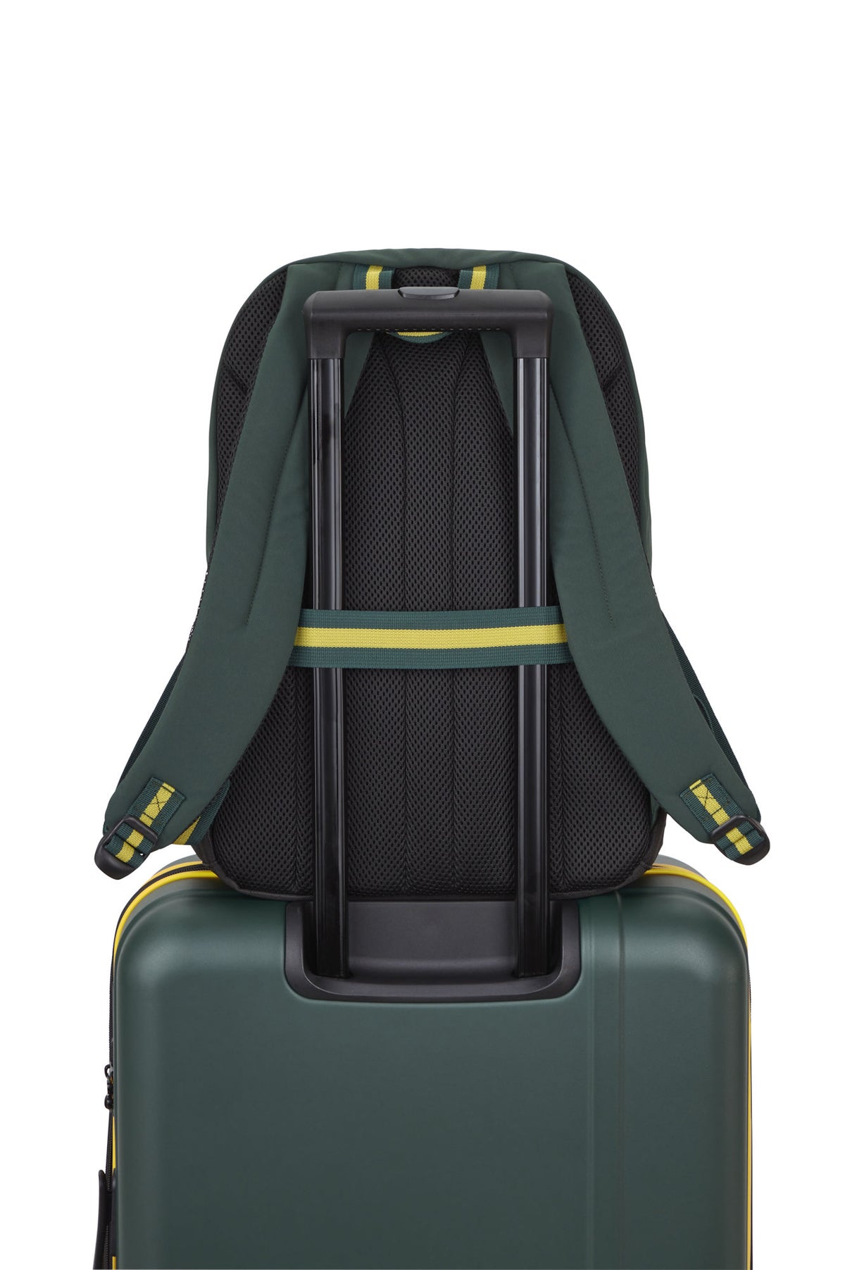 travelite x NFL College Rucksack Green Bay Packers Grün – 24 l, Laptopfach bis 15 Zoll