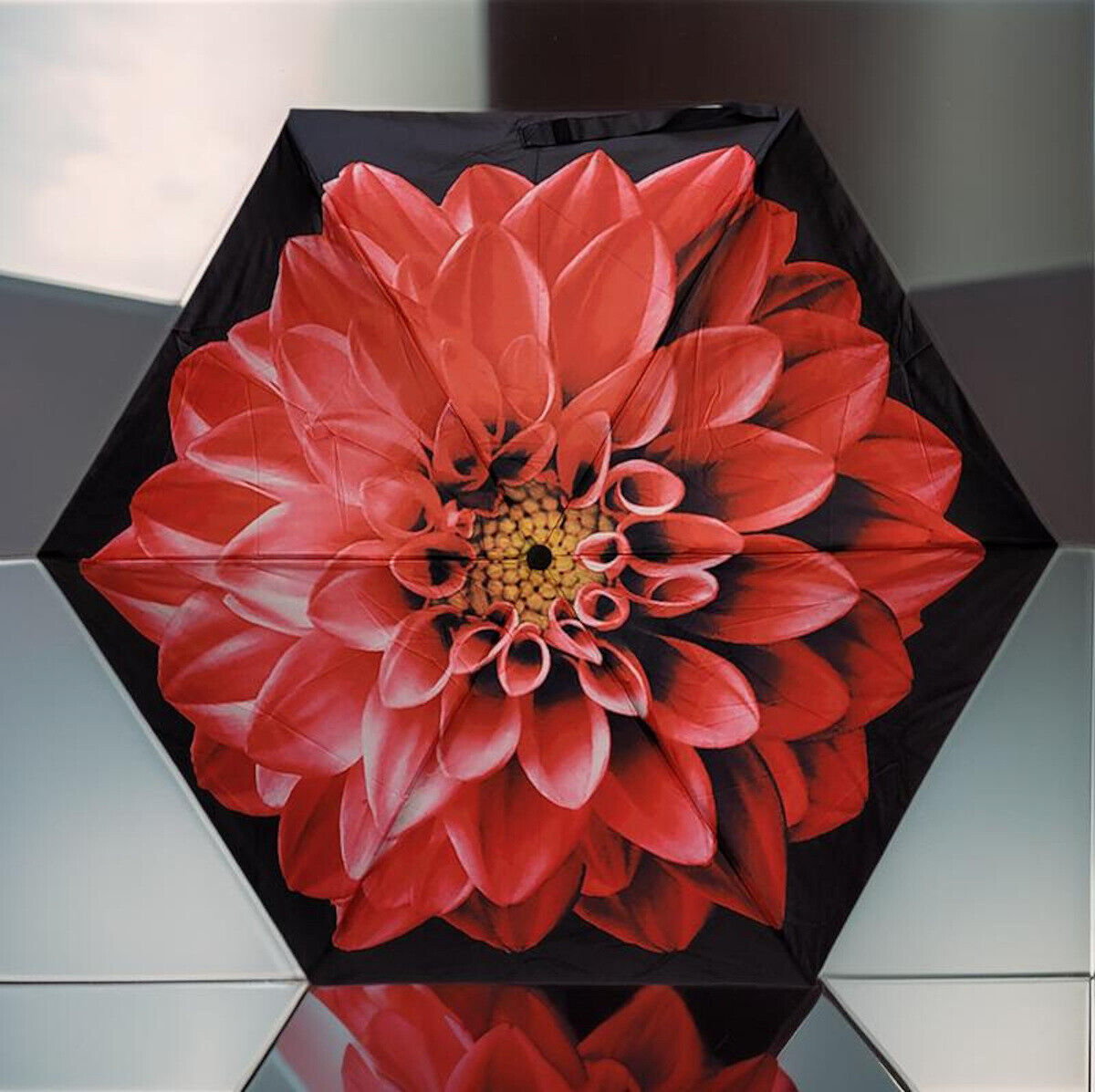 kompakter Regenschirm Taschenschirm Schirm Auf-Zu Automatik Dahlie Blume Blüte