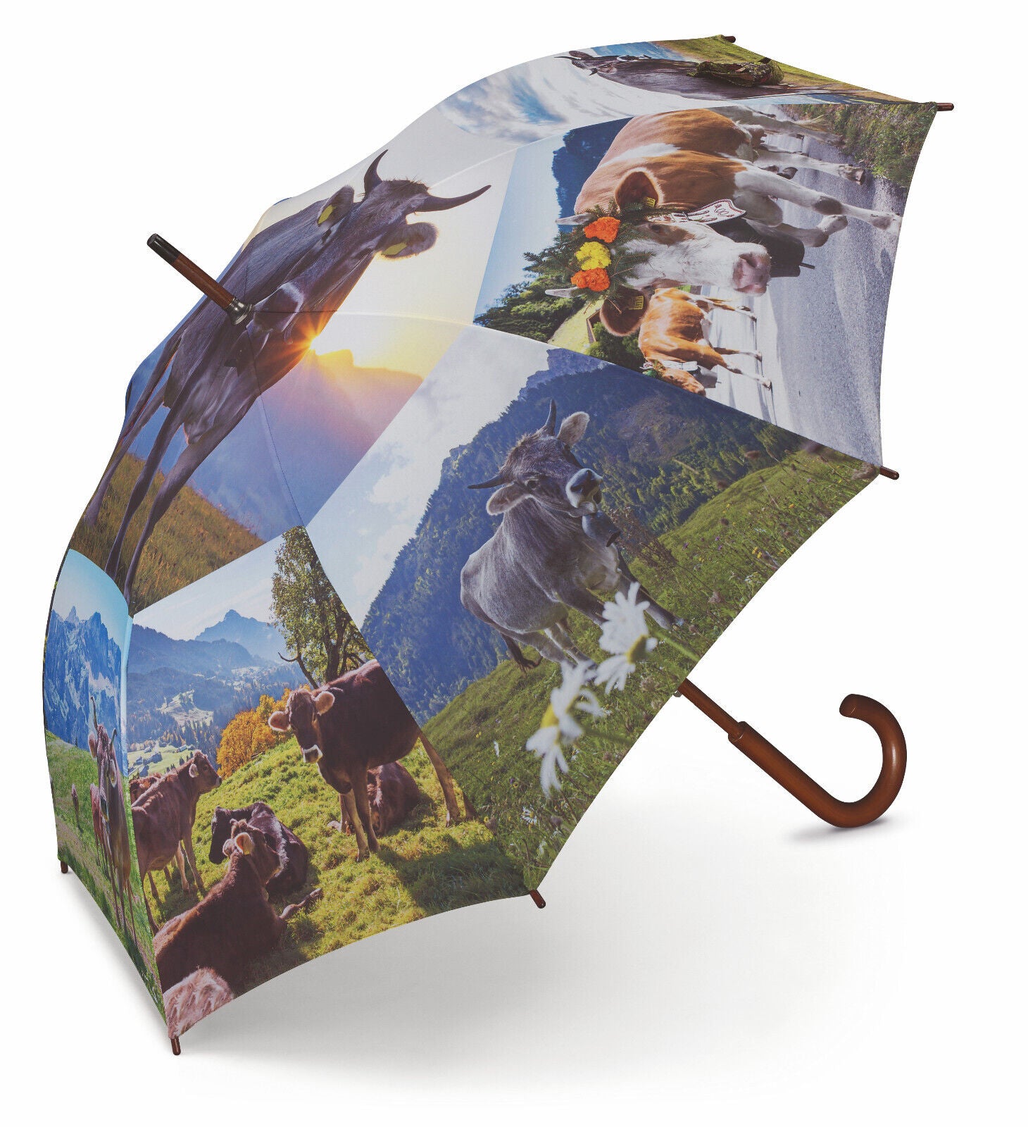 happy rain Regenschirm "Alpenkuh" – Stockschirm mit Echtholzgriff & Alpenmotiv
