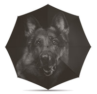 Happy Rain Regenschirm Taschenschirm Schirm mit Automatik Dog Hund Hunde