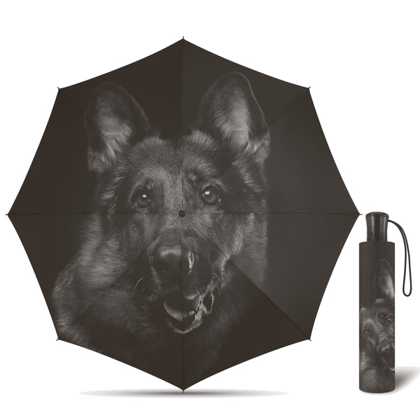 Happy Rain Regenschirm Taschenschirm Schirm mit Automatik Dog Hund Hunde