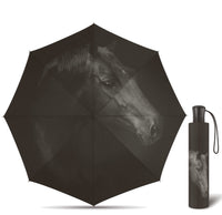 Happy Rain Regenschirm Taschenschirm Schirm mit Automatik Horse Pferd