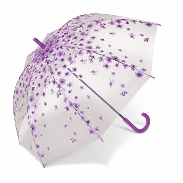 happy rain Regenschirm Stockschirm transparent durchsichtig Blossom lila Blüten