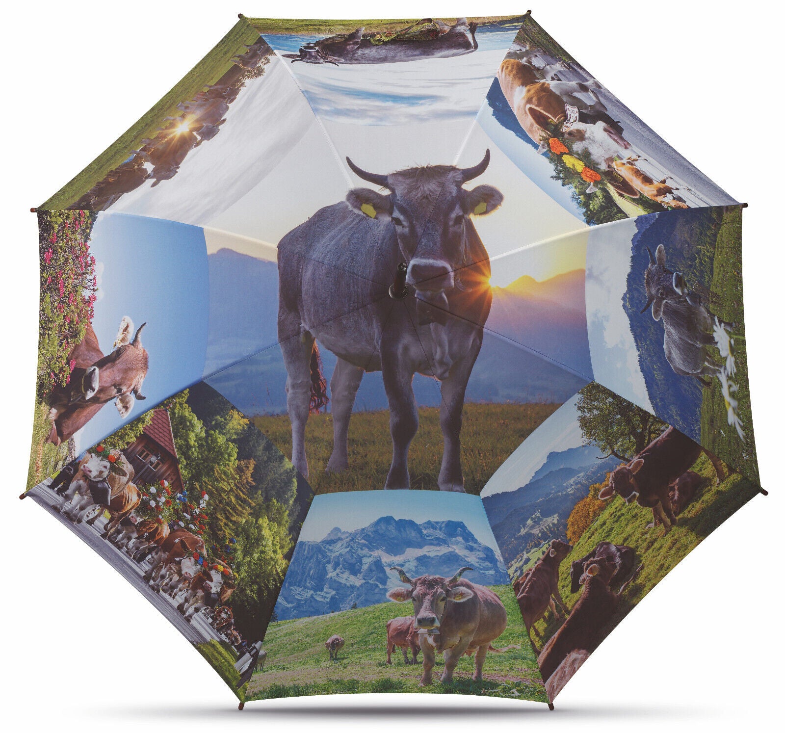 happy rain Regenschirm "Alpenkuh" – Stockschirm mit Echtholzgriff & Alpenmotiv